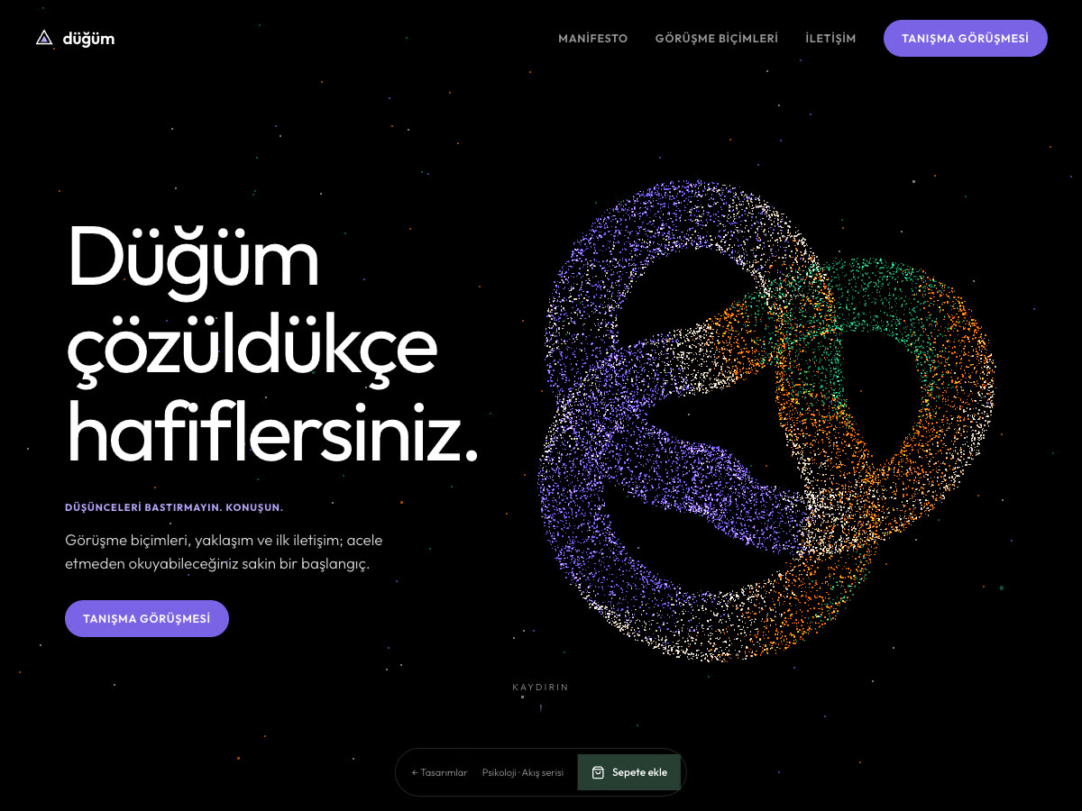 Düğüm web sitesi önizlemesi
