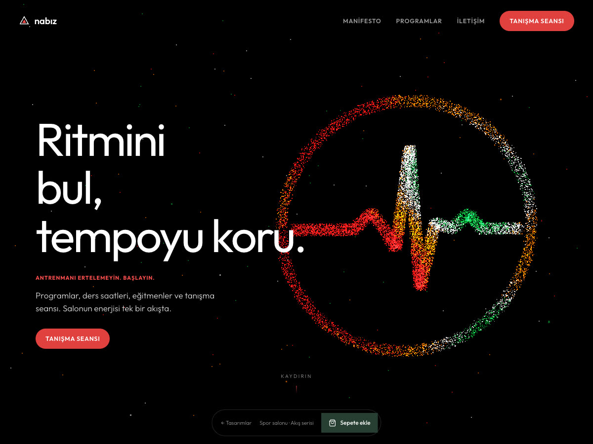 Nabız web sitesi önizlemesi