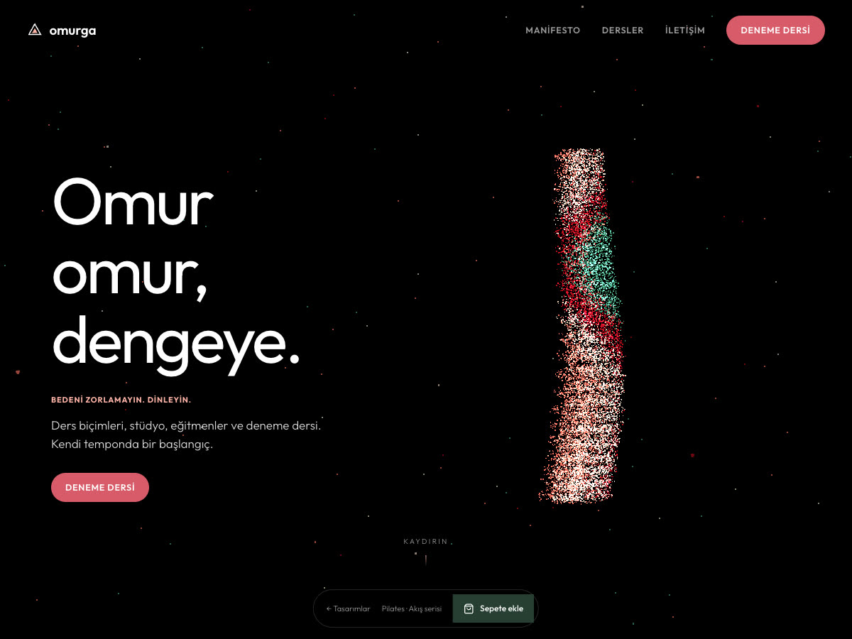 Omurga web sitesi önizlemesi