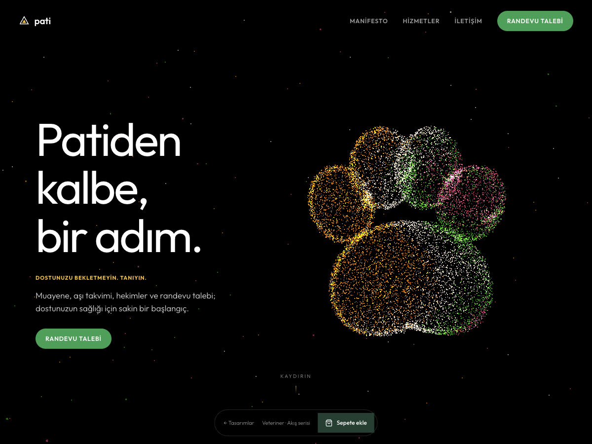 Pati web sitesi önizlemesi
