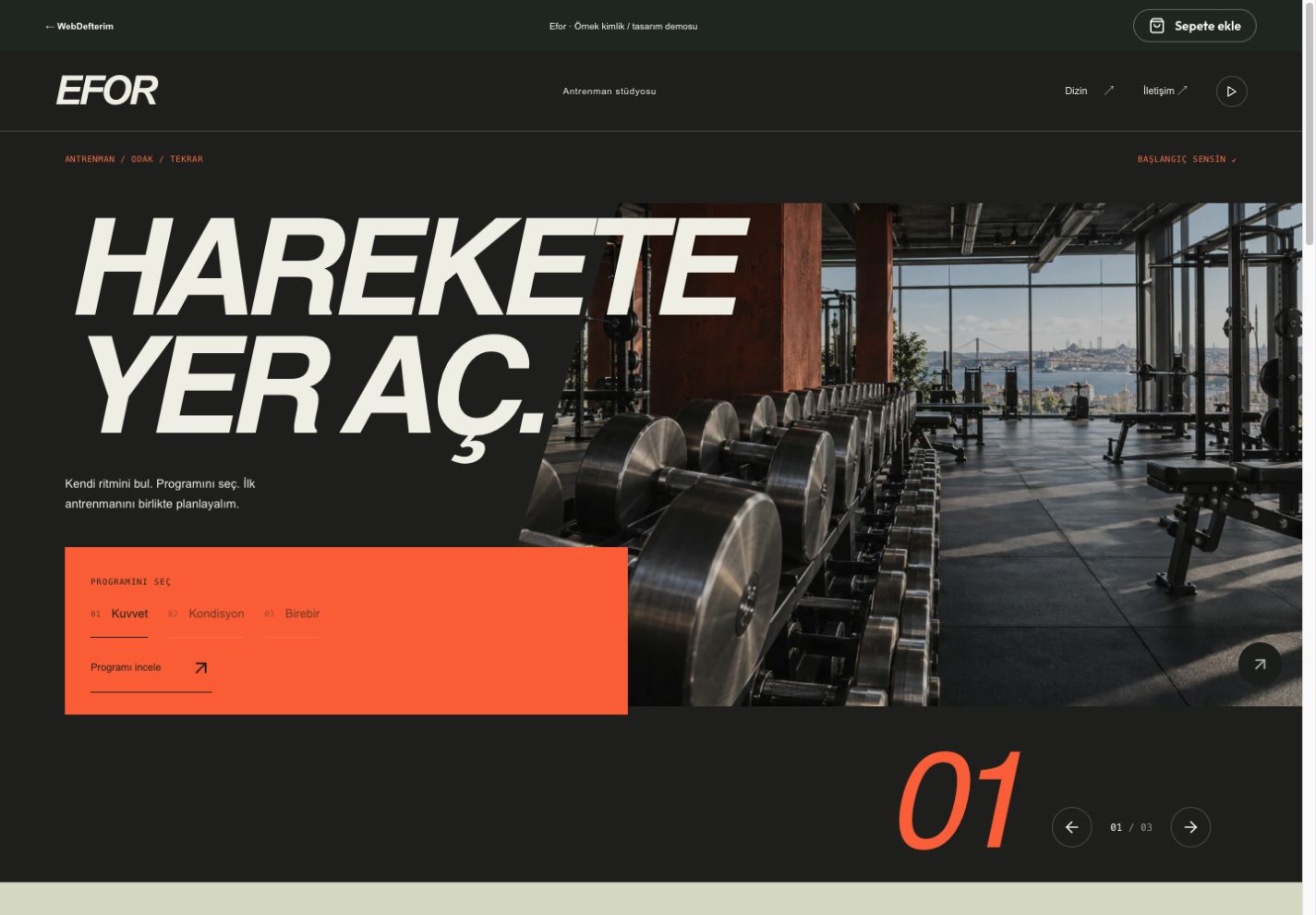 Efor web sitesi önizlemesi