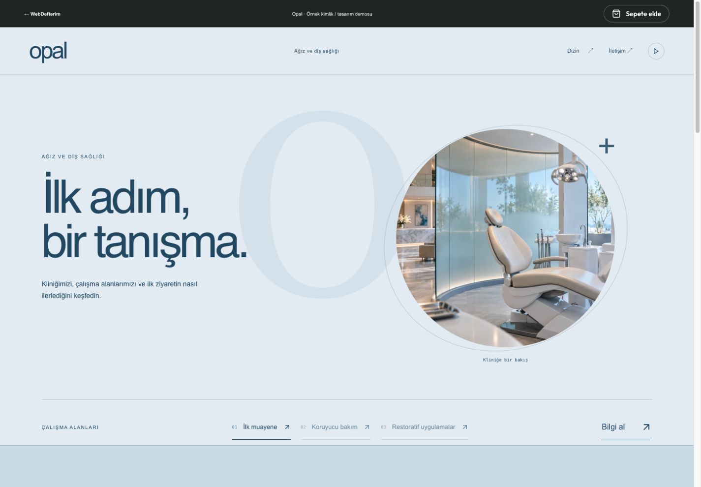 Opal web sitesi önizlemesi